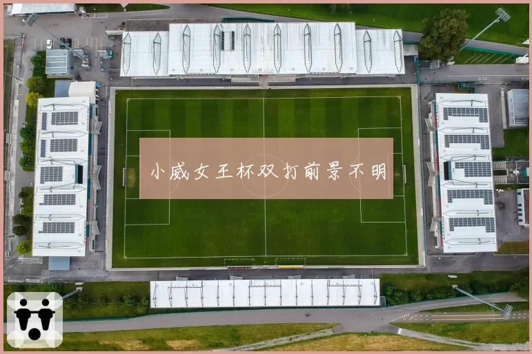 小威女王杯双打前景不明