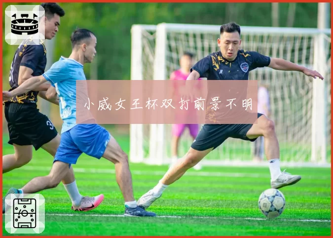 小威女王杯双打前景不明